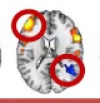 thumbnail image from paper