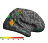 thumbnail image from paper