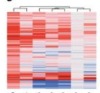 thumbnail image from paper