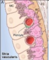thumbnail image from paper