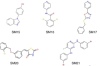 thumbnail image from paper