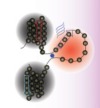 thumbnail image from paper