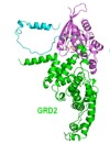 thumbnail image from paper