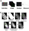thumbnail image from paper