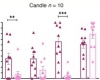 thumbnail image from paper