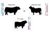 thumbnail image from paper