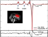 thumbnail image from paper
