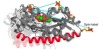 thumbnail image from paper