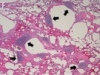 thumbnail image from paper