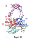 thumbnail image from paper