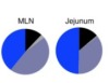 thumbnail image from paper