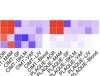 thumbnail image from paper