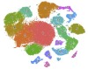thumbnail image from paper