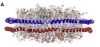 thumbnail image from paper