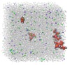 thumbnail image from paper
