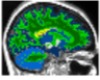 thumbnail image from paper