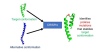 thumbnail image from paper
