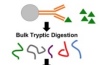 thumbnail image from paper