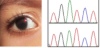 thumbnail image from paper