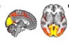 thumbnail image from paper