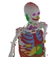 thumbnail image from paper