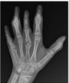 thumbnail image from paper