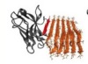 thumbnail image from paper