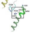 thumbnail image from paper