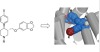 thumbnail image from paper