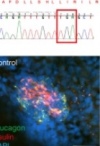 thumbnail image from paper