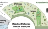 thumbnail image from paper