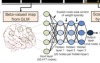 thumbnail image from paper