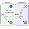 thumbnail image from paper