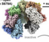 thumbnail image from paper