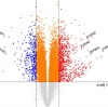 thumbnail image from paper