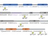 thumbnail image from paper