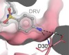 thumbnail image from paper