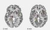 thumbnail image from paper