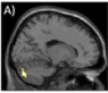 thumbnail image from paper