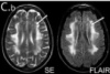 thumbnail image from paper