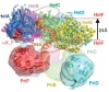 thumbnail image from paper