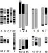 thumbnail image from paper