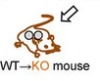 thumbnail image from paper