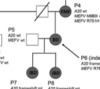 thumbnail image from paper