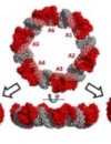 thumbnail image from paper