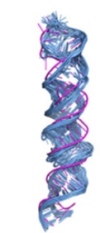 thumbnail image from paper