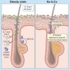 thumbnail image from paper