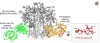 thumbnail image from paper