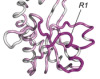 thumbnail image from paper