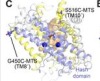 thumbnail image from paper